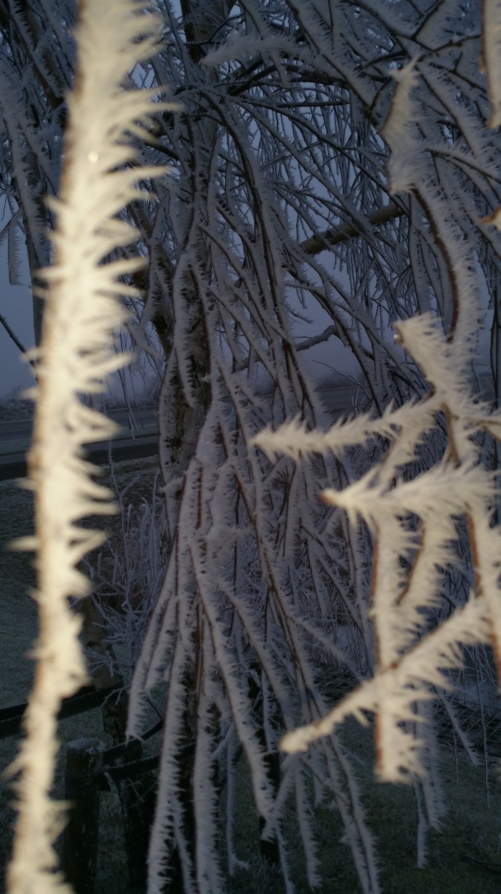 5 Things That Make Me&nbsp;Happy!